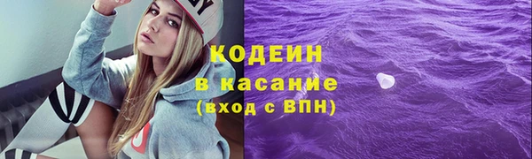 гидра Арсеньев