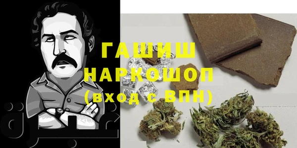 гидра Арсеньев